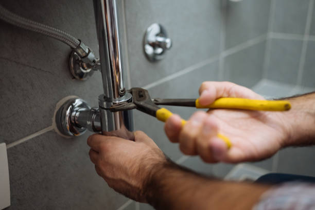 Best Plumbing Services Near Me  in Tichigan, WI